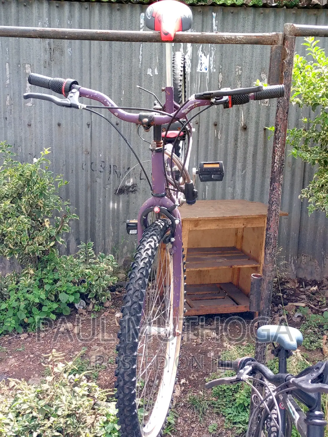 Bicycle #13