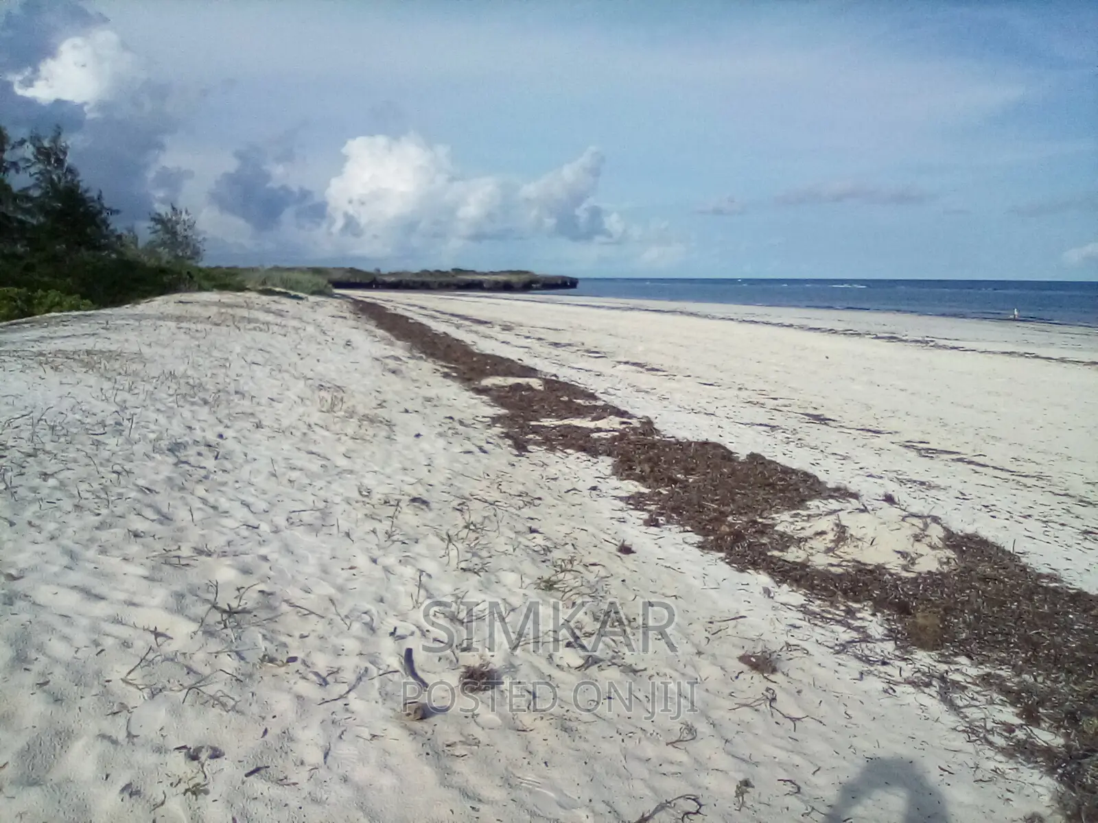 50-Acre Beach Plot for Sale in Bofa