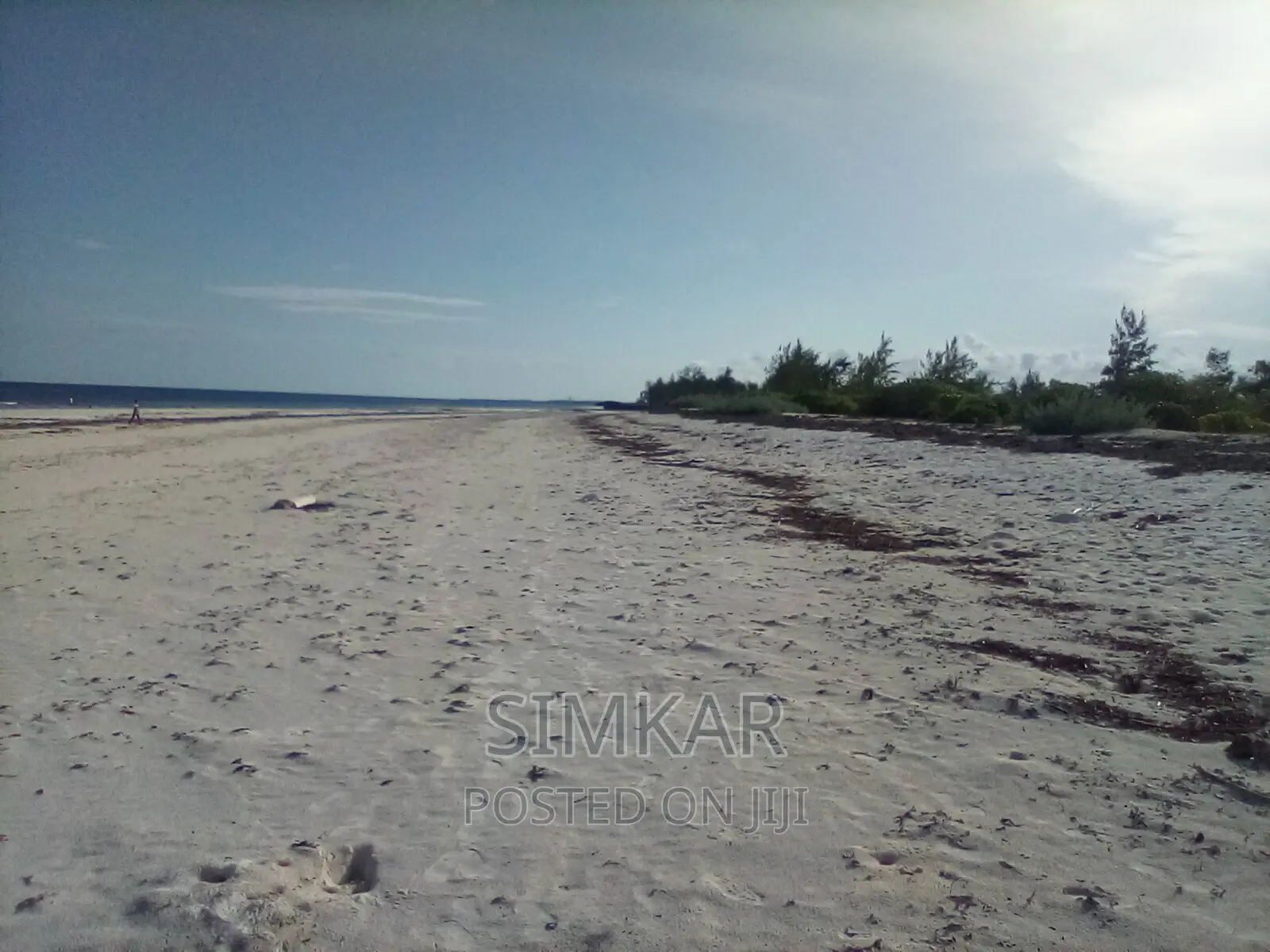 50-Acre Beach Plot for Sale in Bofa