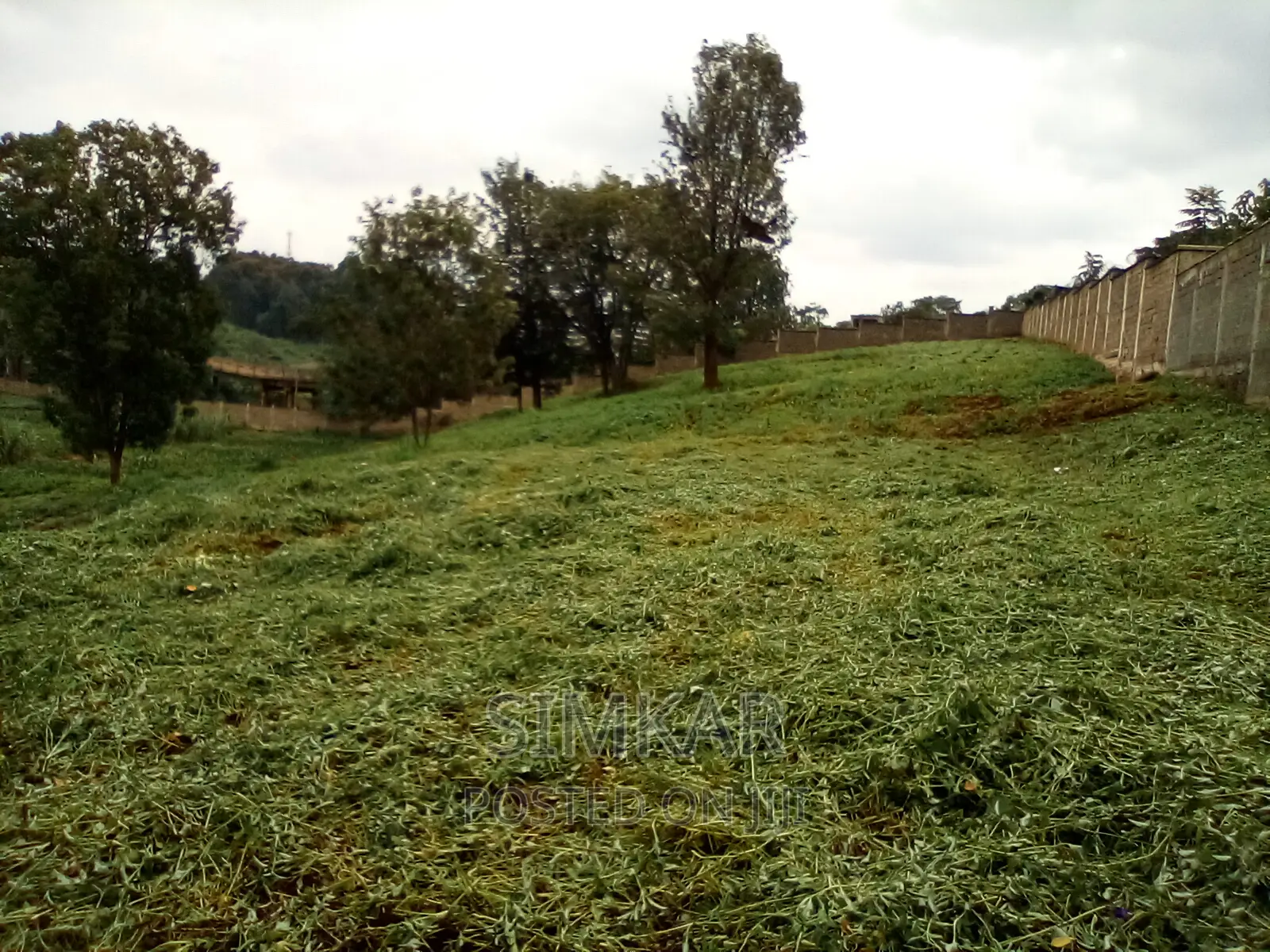 0.5-Acre Plots for Sale in Rosslyn