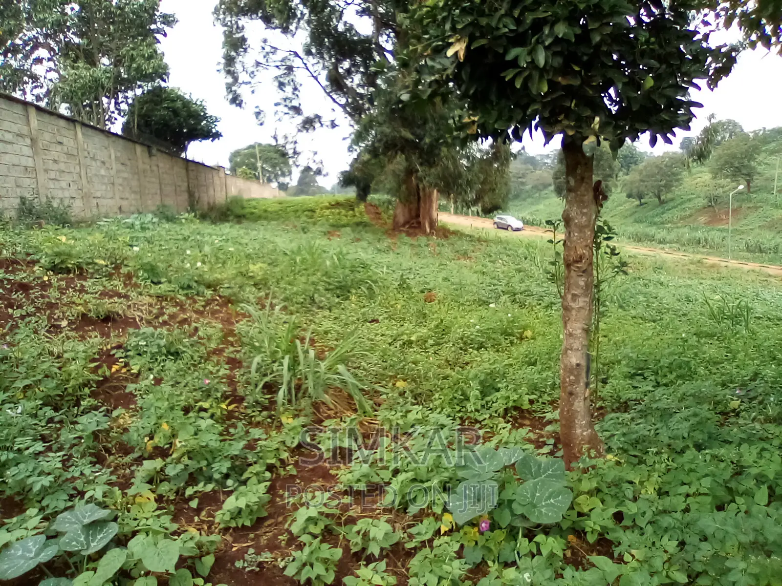 0.5-Acre Plots for Sale in Rosslyn