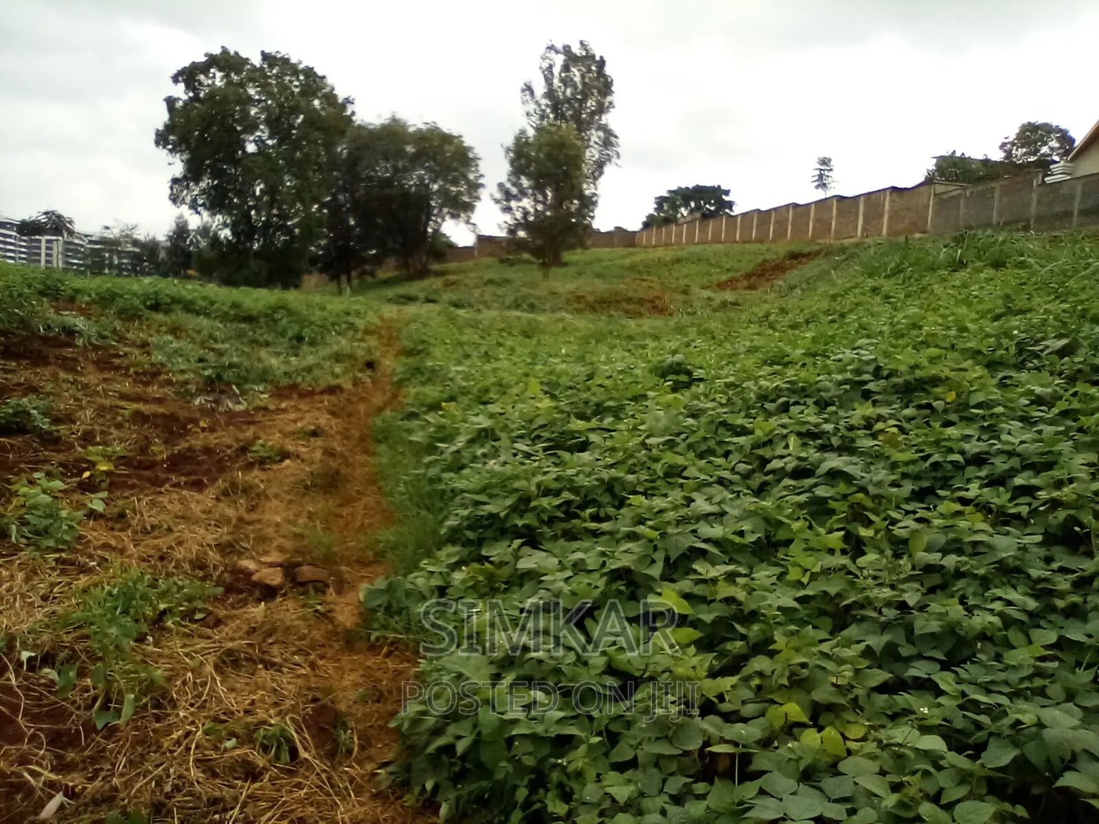 0.5-Acre Plots for Sale in Rosslyn