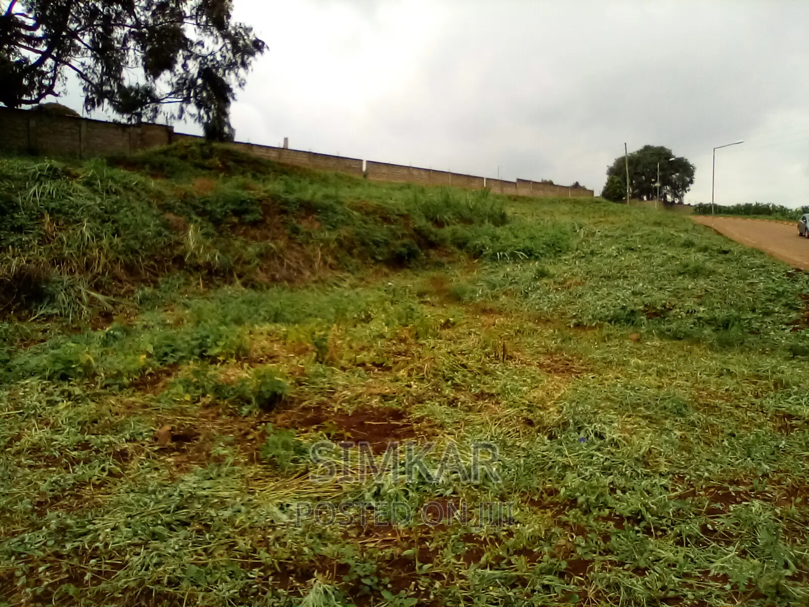 0.5-Acre Plots for Sale in Rosslyn