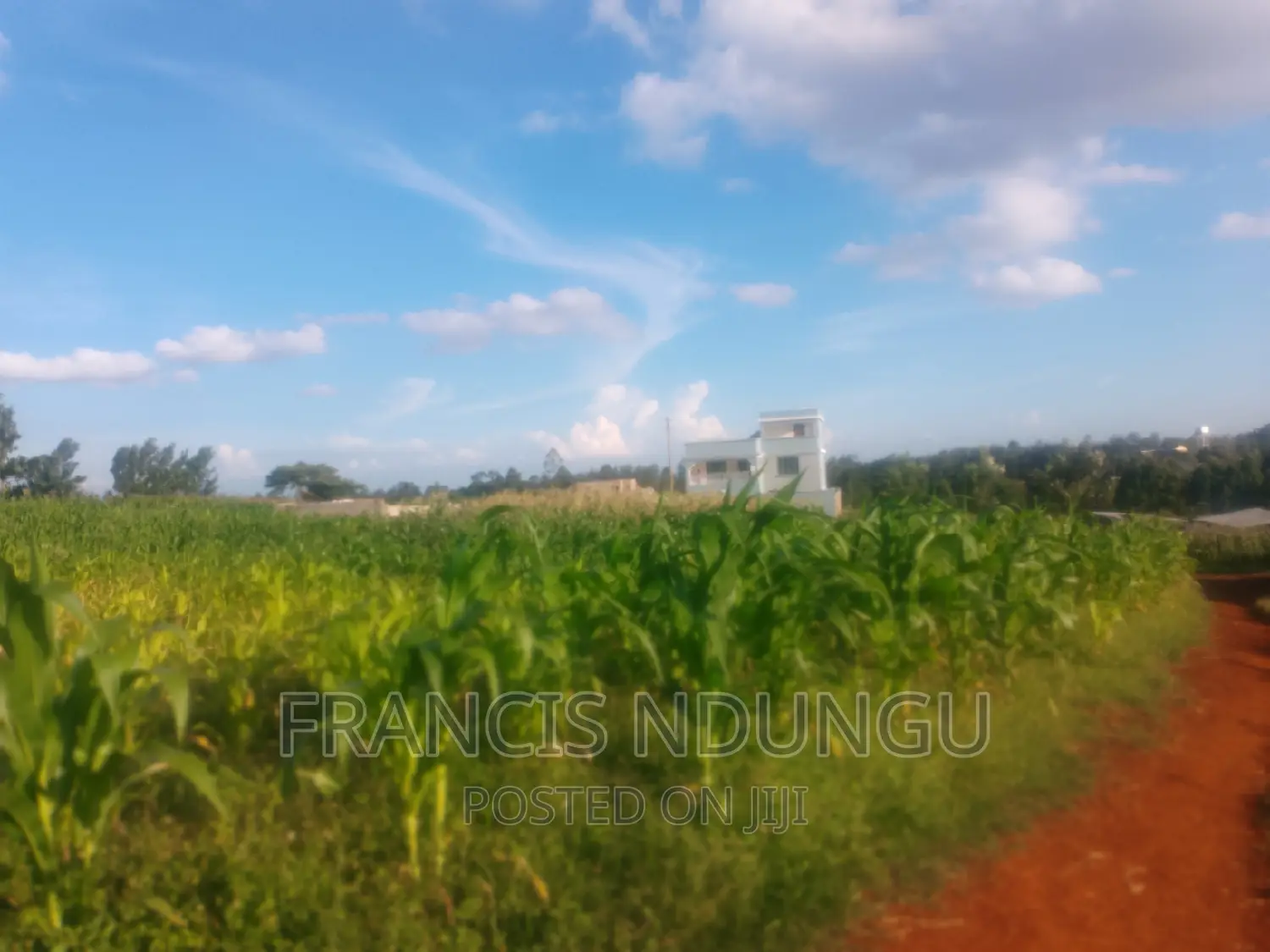 Residential Plots for Sale Tinganga Kiora Estate Kiambu.