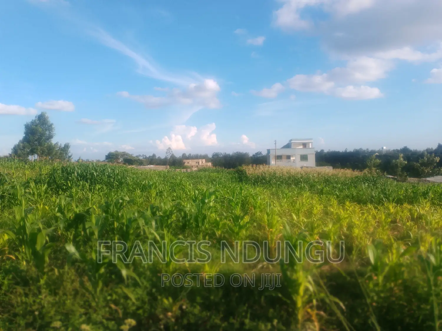 Residential Plots for Sale Tinganga Kiora Estate Kiambu.