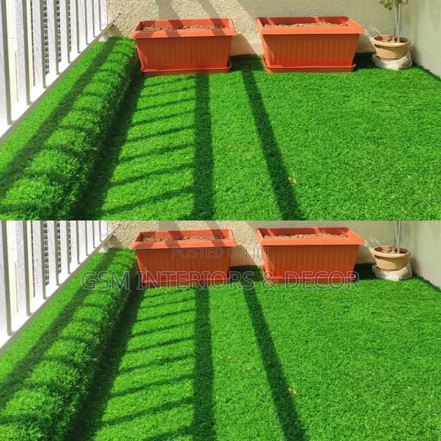 Grass Carpet Grass Carpet Grass Carpet Grass Carpet Grass