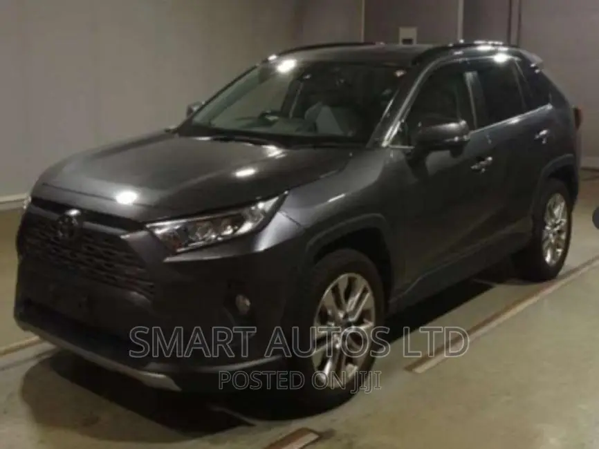 Toyota RAV4 2019 Gray