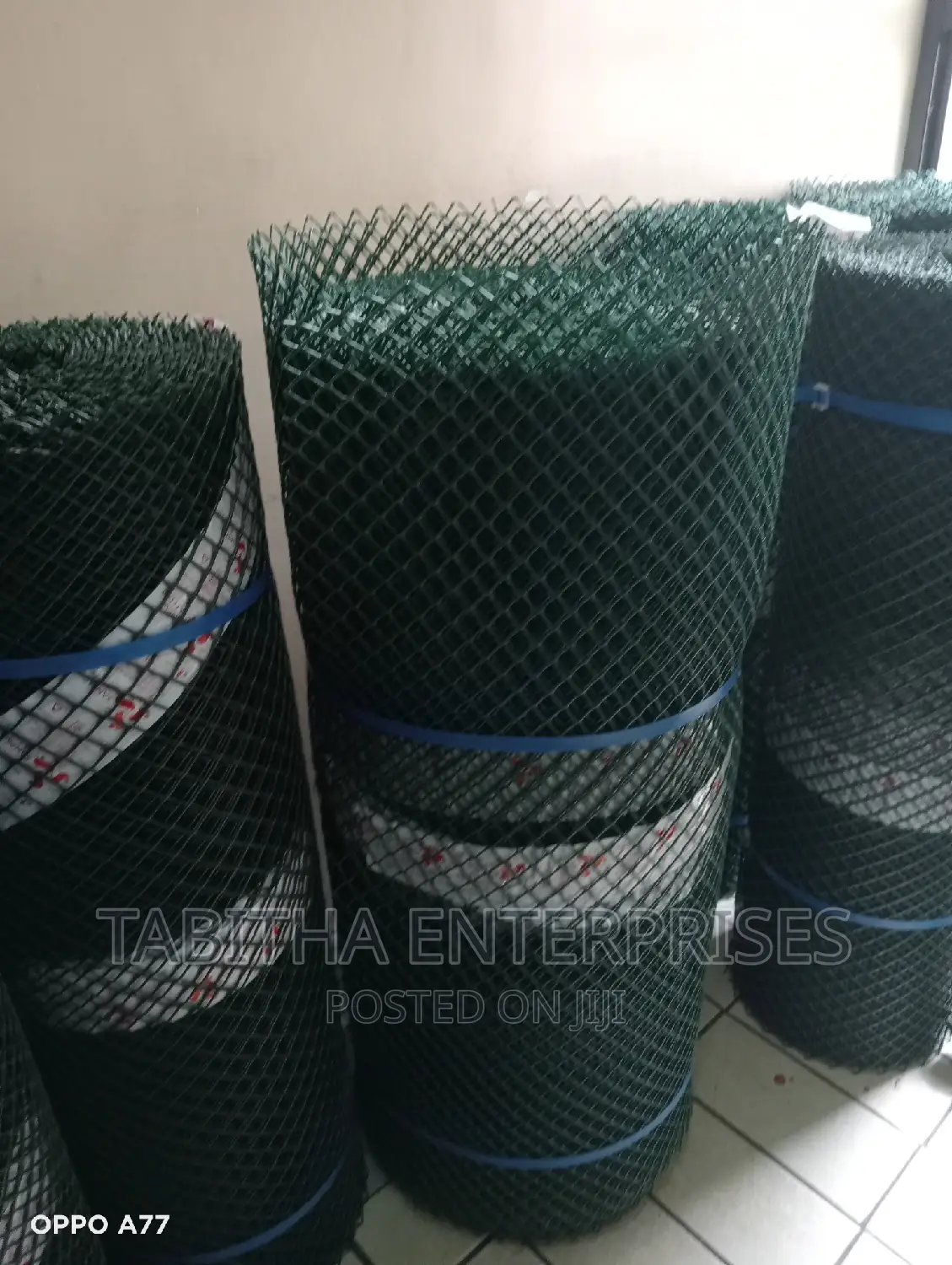 Chicken Plastic Wire Mesh