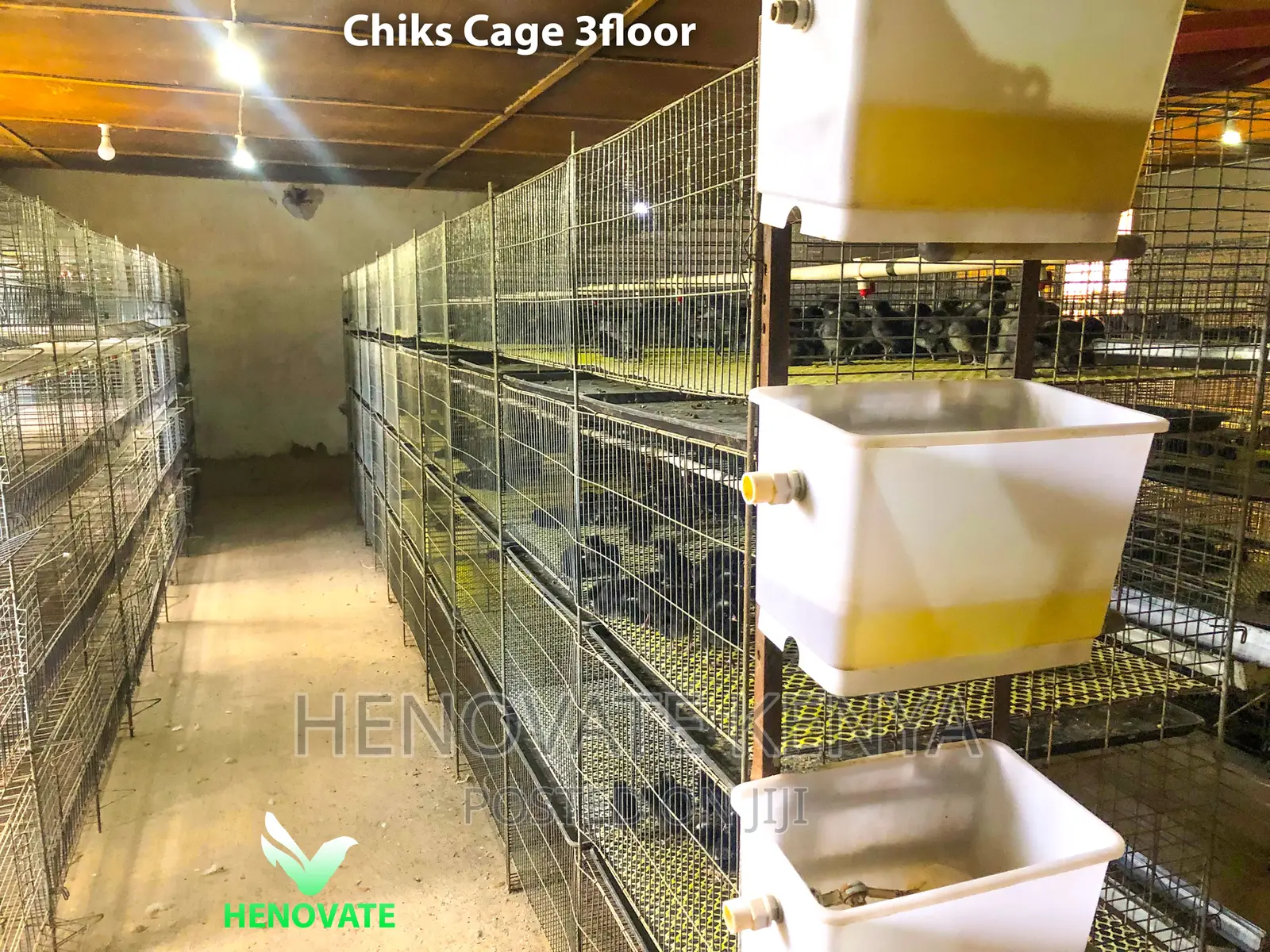 Chicken Cage