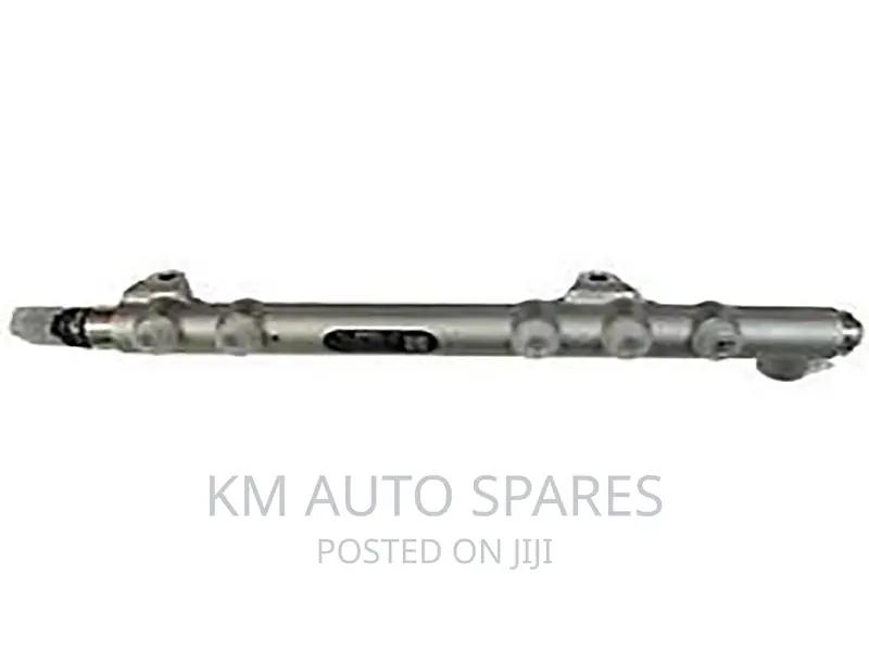Nissan Zd30 Common Rail for Caravan, Navara, Patrol, Atlas.
