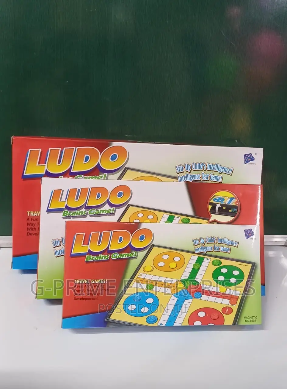 Magnetic Ludo Brain Game