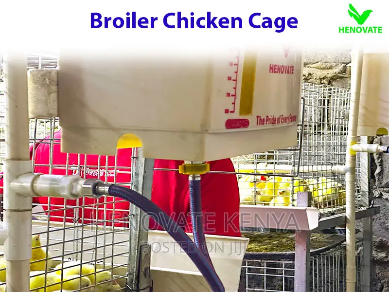 Broiler Cage System