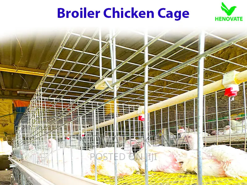 Broiler Cage System