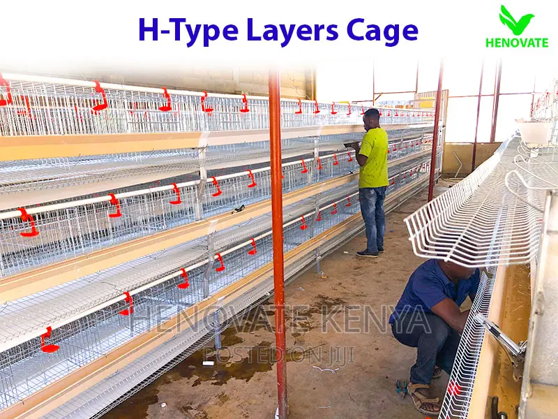 High Quality H Type Layer Cage