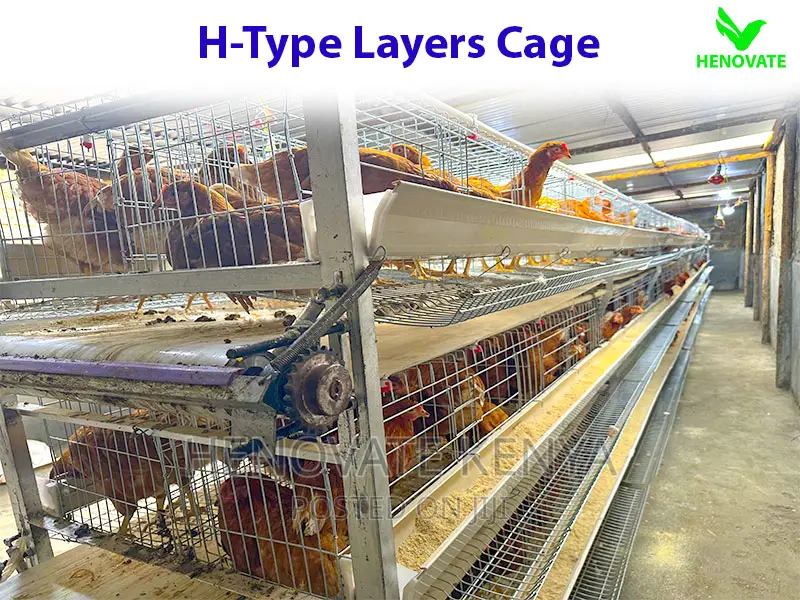 High Quality H Type Layer Cage