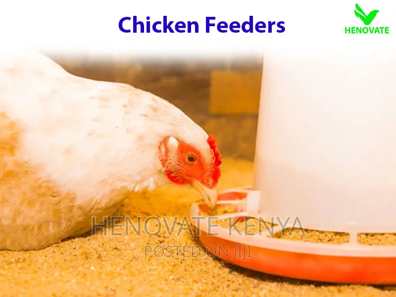 Poultry Feeders in Kenya(Good Quality)