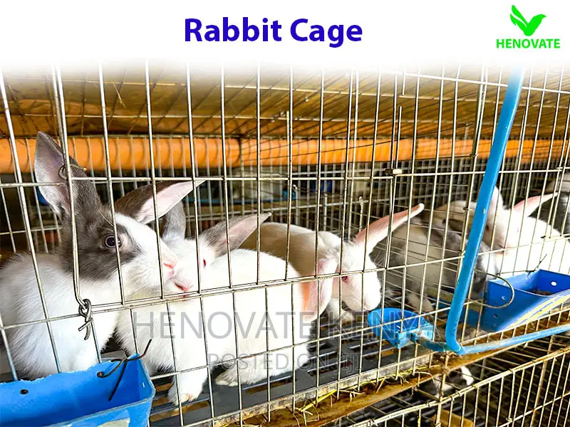 Commercial Rabbit Cages