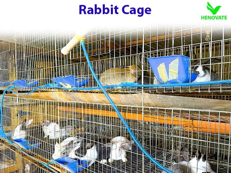Commercial Rabbit Cages