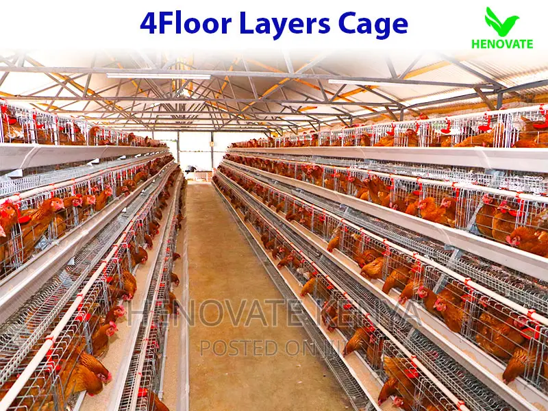 128 Birds Layers Cage