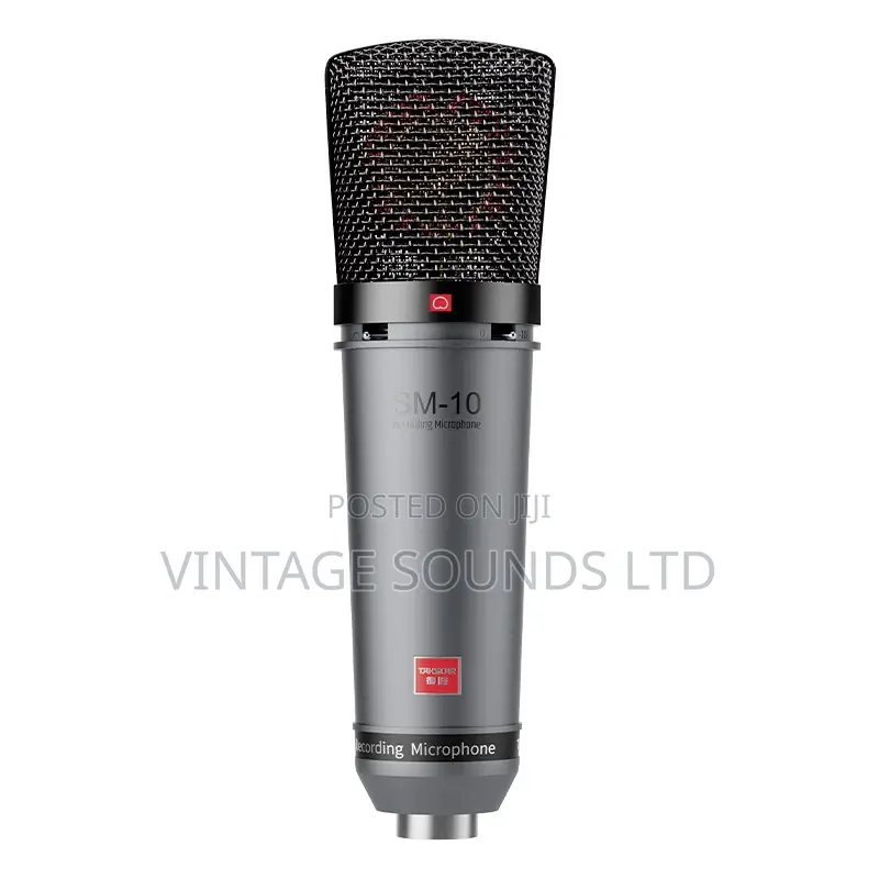 Takstar SM-10 Professional Recording Microphone