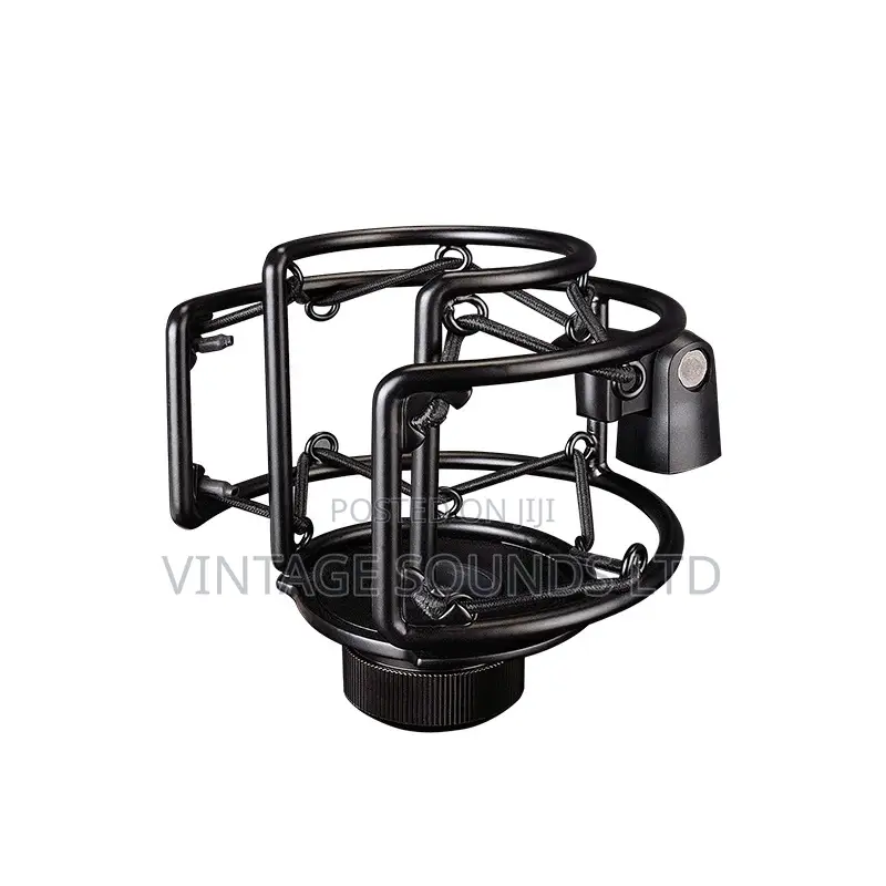 TASTAR PC- Professional Recording Condenser Microphone