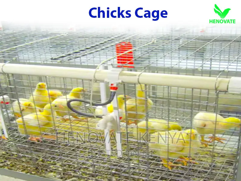 Layer Baby Chick Cages Available in Kiambu Ruiru Saves Space