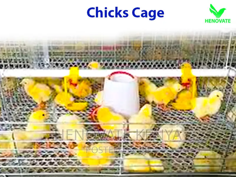 Layer Baby Chick Cages Available in Kiambu Ruiru Saves Space