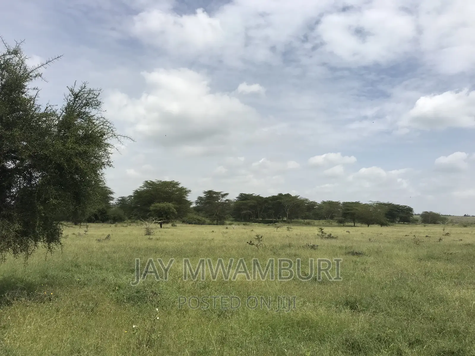 40 Acres Kenani