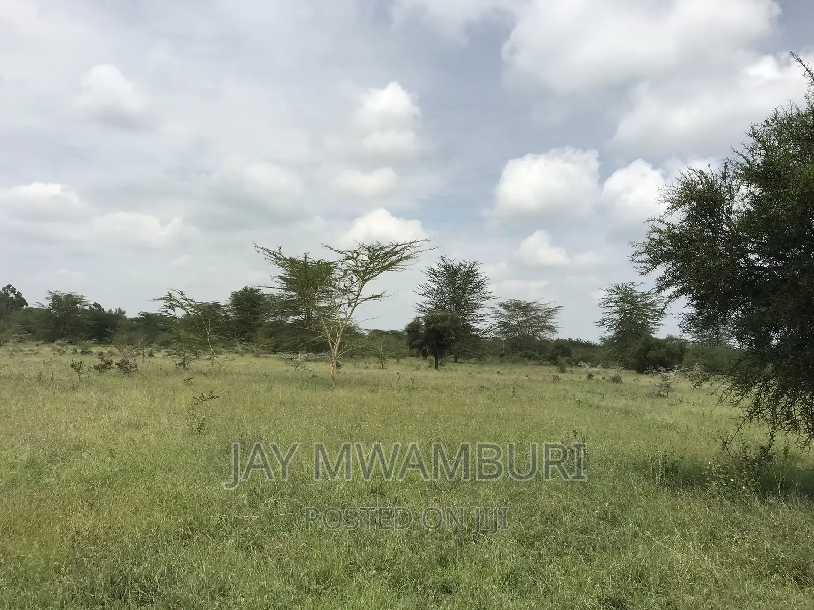 40 Acres Kenani