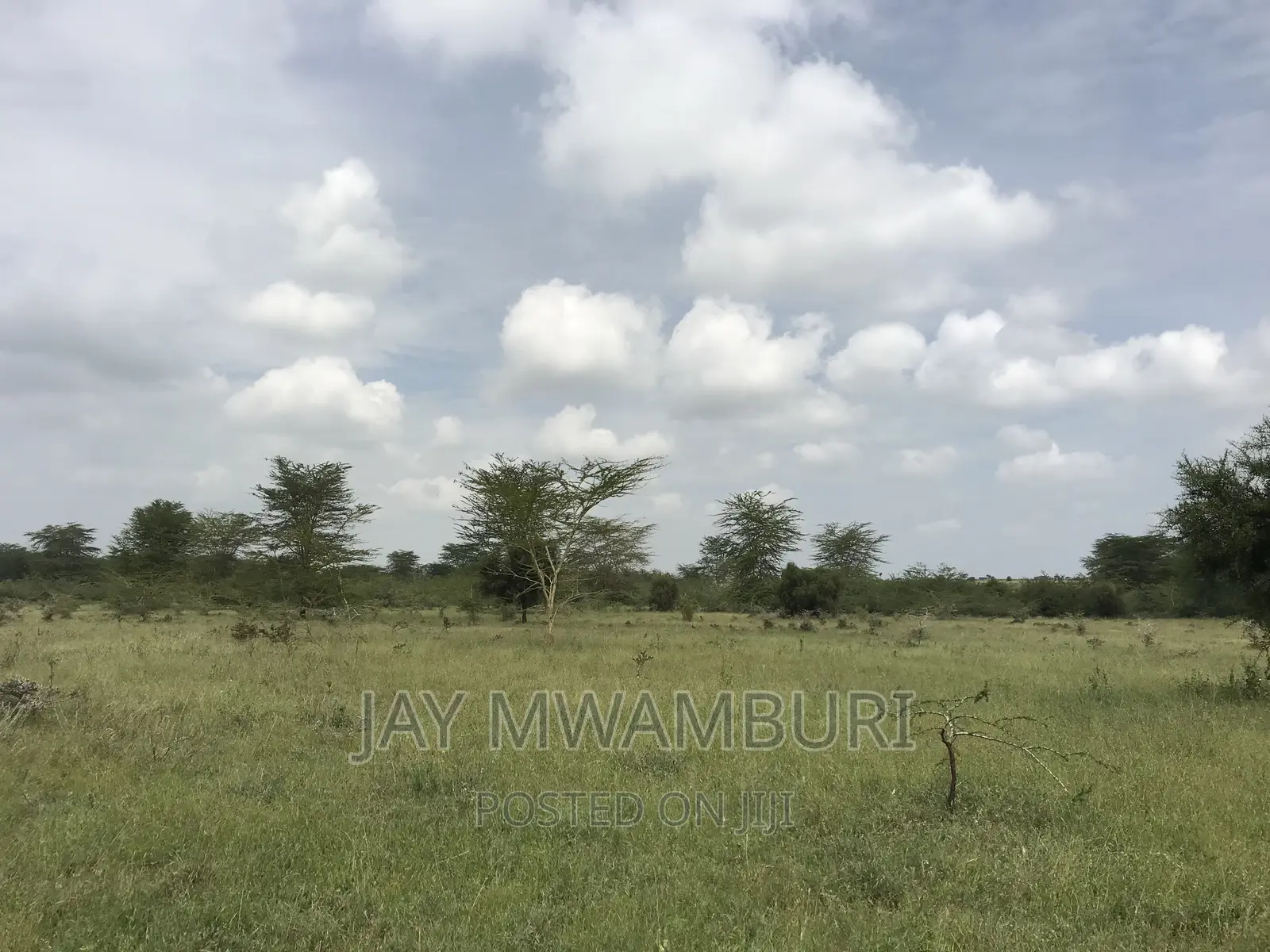 40 Acres Kenani