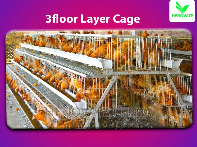 3floor Layers Cage/96 Birds