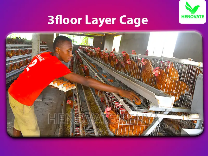 3floor Layers Cage/96 Birds