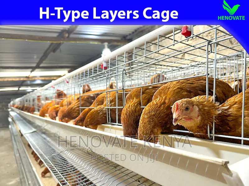 Hightop Poultry Farming(H-Type)Cage in Kiambu Ruiru