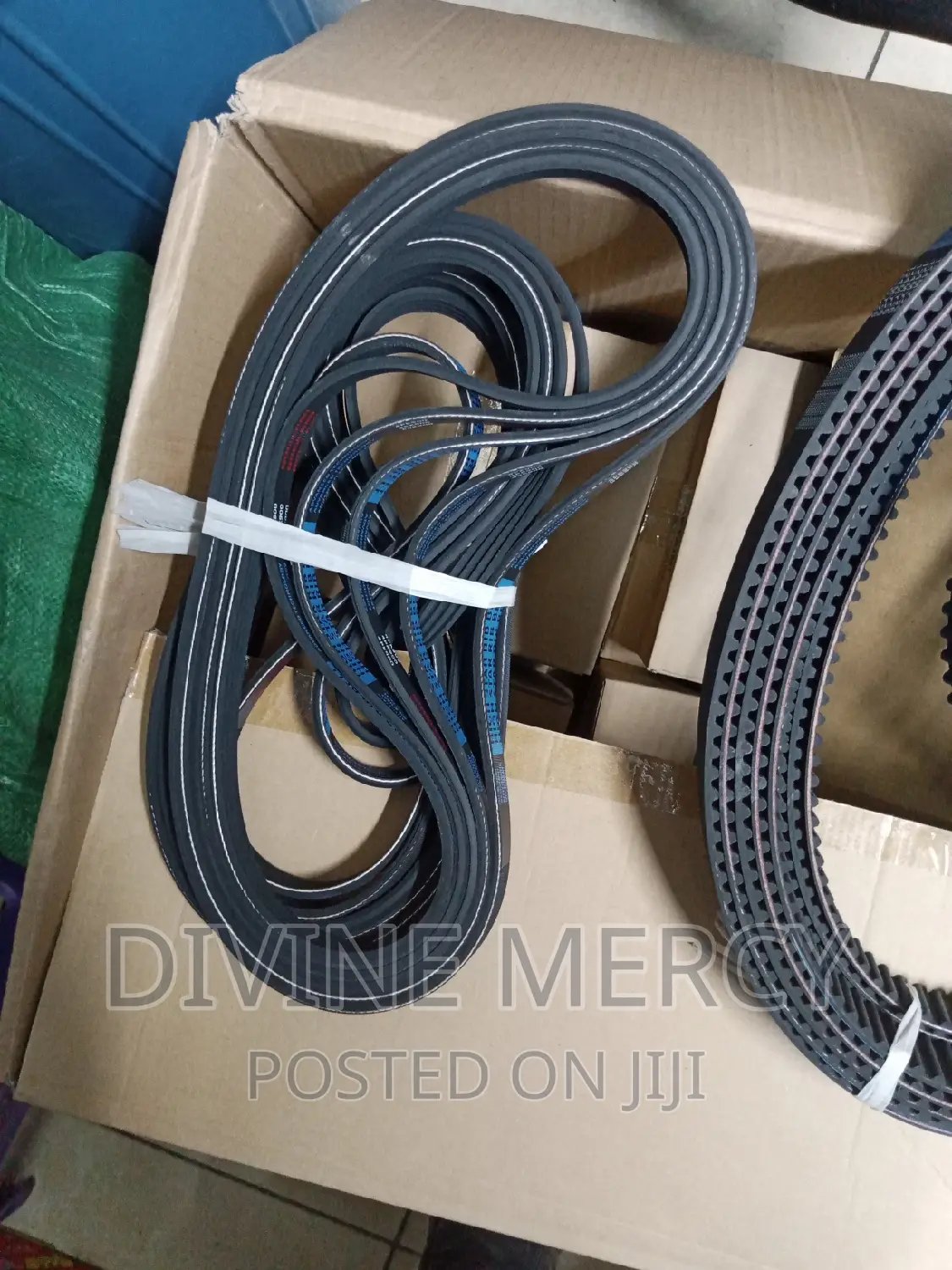 Timing Belt/Fun Belt Original