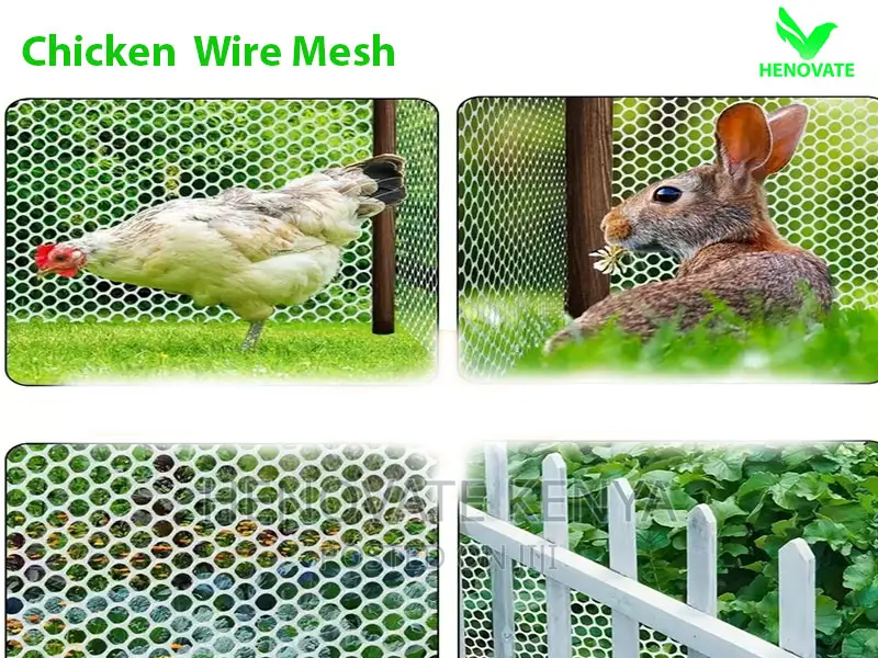Best Quality Chicken Wire Mesh in Kenya/High Density