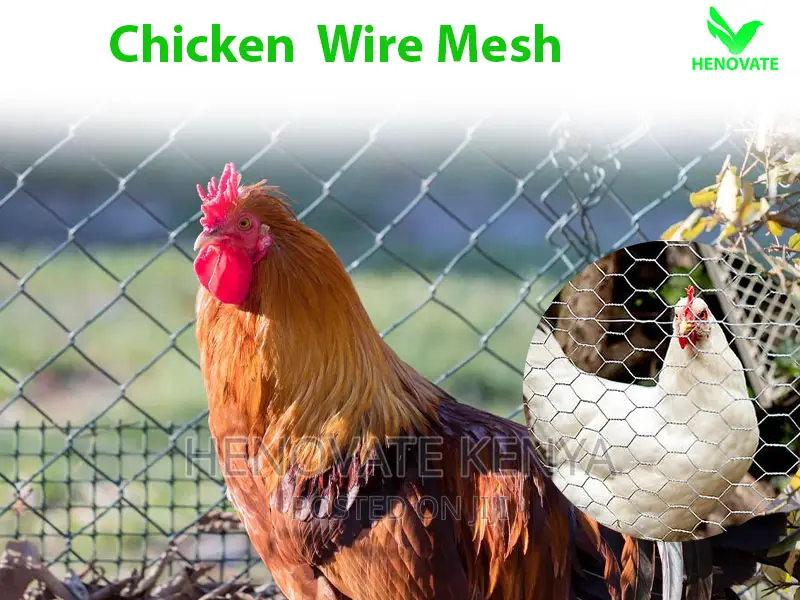 Poultry Wire Mesh