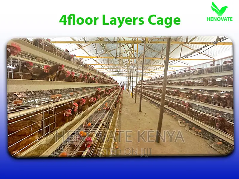 128 Chicken Layer Cage in Kenya