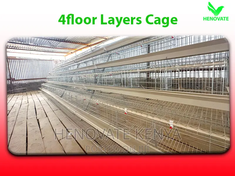128 Chicken Layer Cage in Kenya