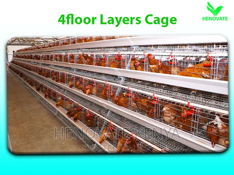 Chicken Cage 128 Bird Poultry/in Kenya Cheap to Handle