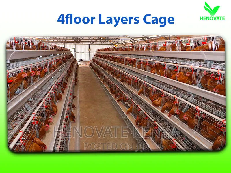 Poultry Cages for Sale in Kenya/ 128birds