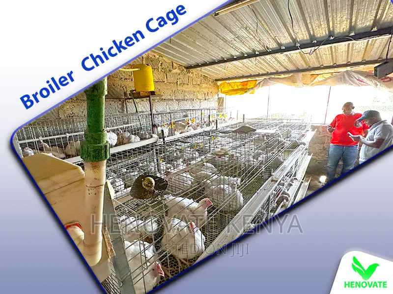 Broiler Cages for Kenya Farm