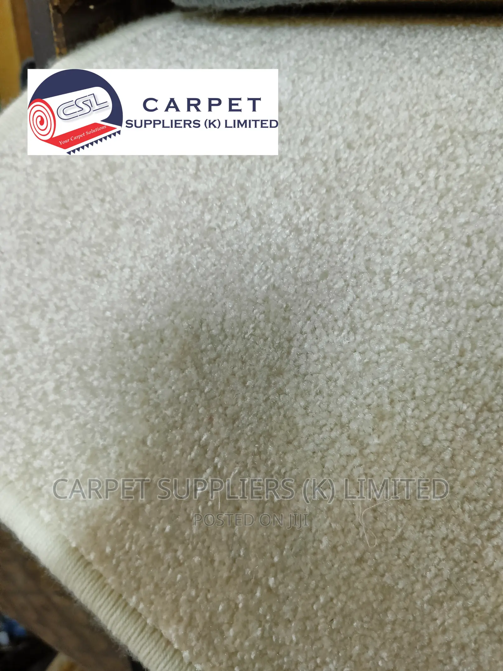 White Wall to Wall Carpet