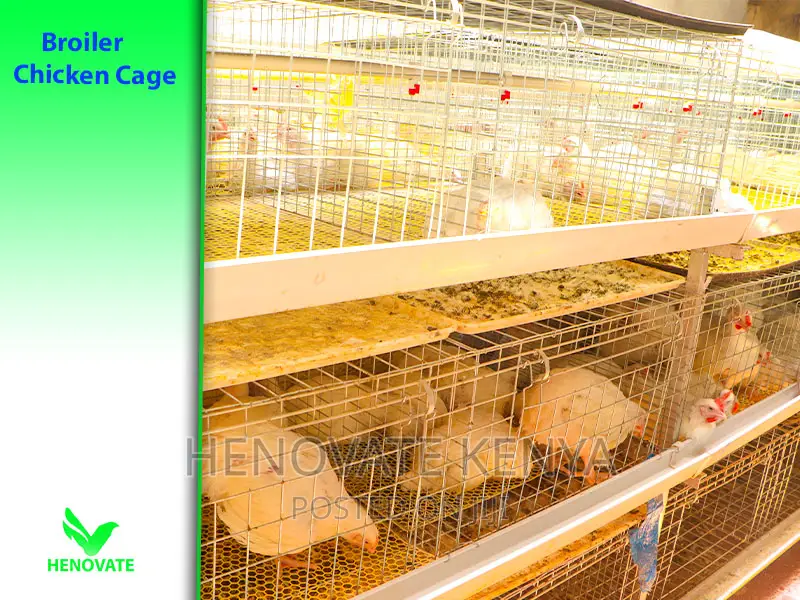 Fabricated Battery Cages for Broilers