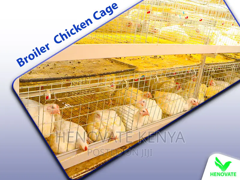 Commercial Broiler Chicken Cage