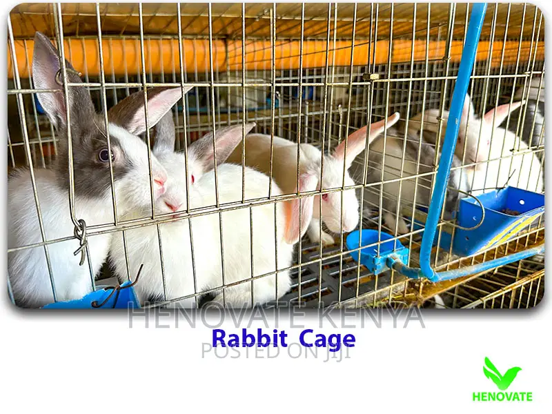 Modern Automated Rabbit Cages