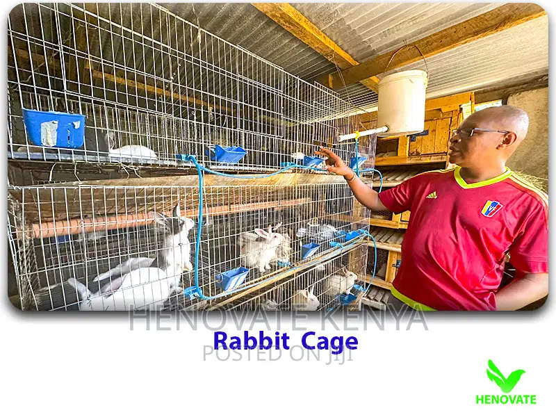 Modern Automated Rabbit Cages