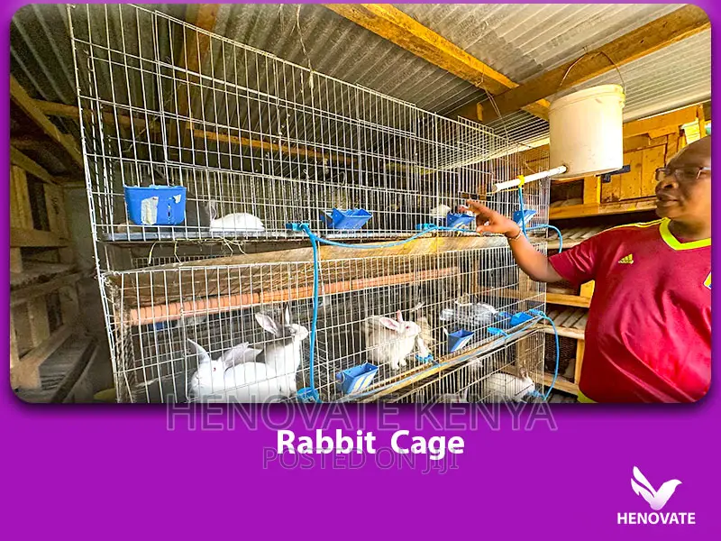 Spacious Rabbit Cages