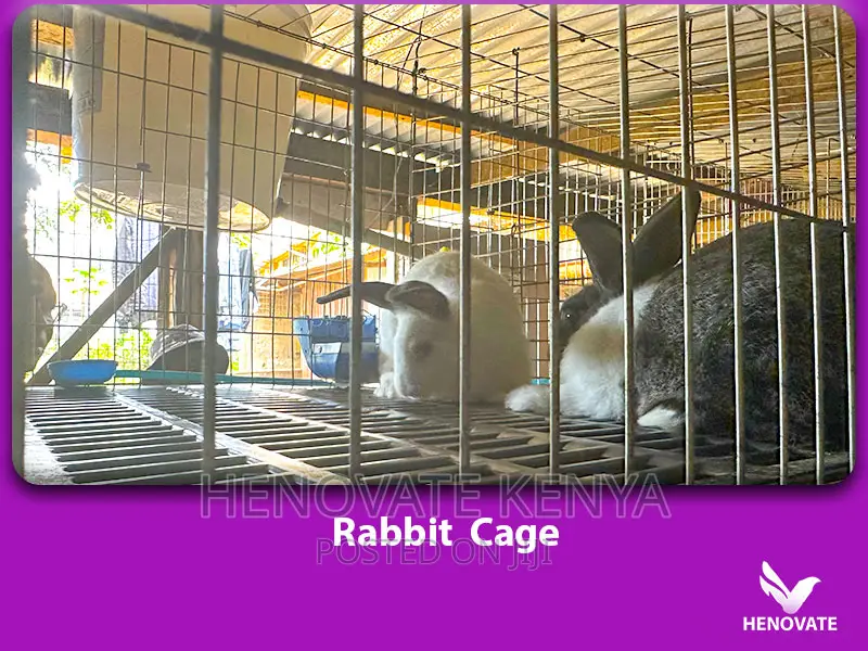 Spacious Rabbit Cages
