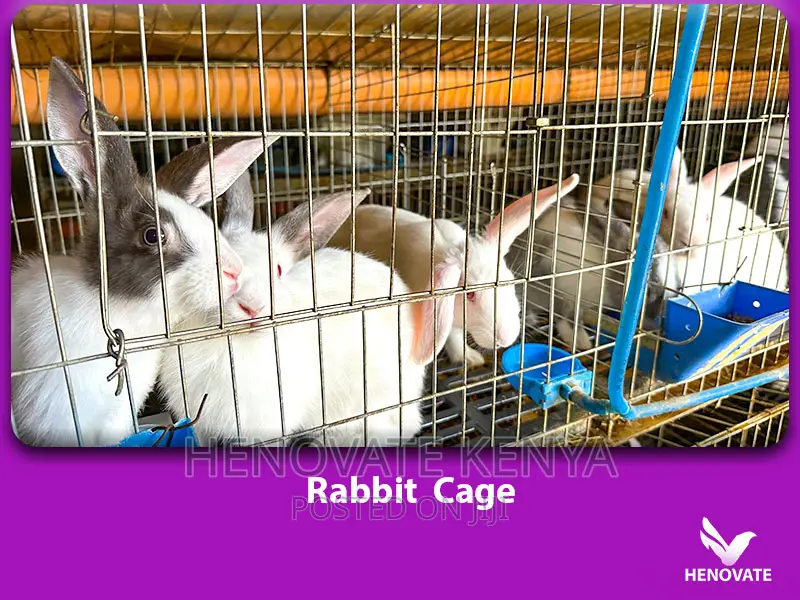 Spacious Rabbit Cages