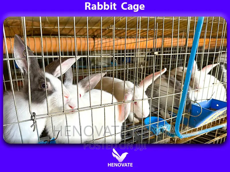 The Best Selling Rabbit Cage